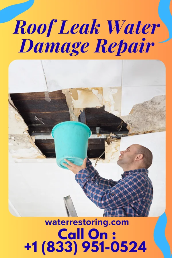 Roof Leak Water Damage Repair in North Troy, VT