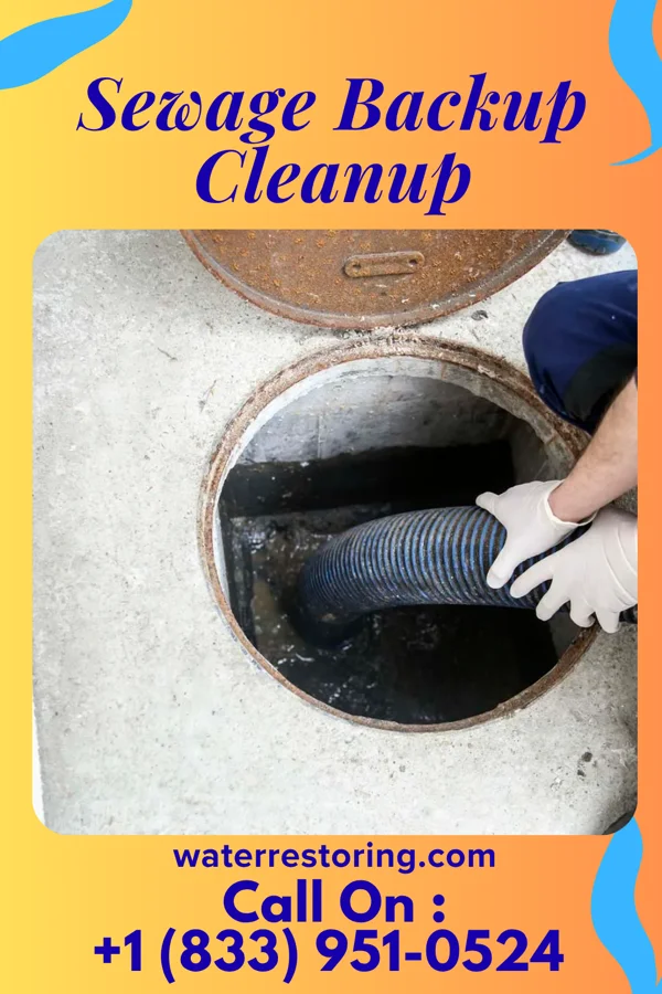 Sewage Backup Cleanup in North Troy, VT