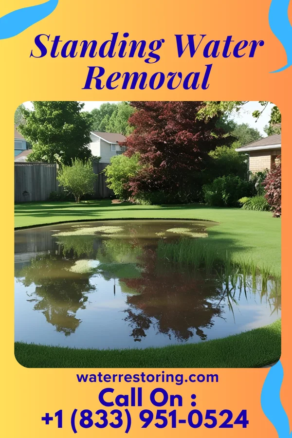 Standing Water Removal in North Troy, VT